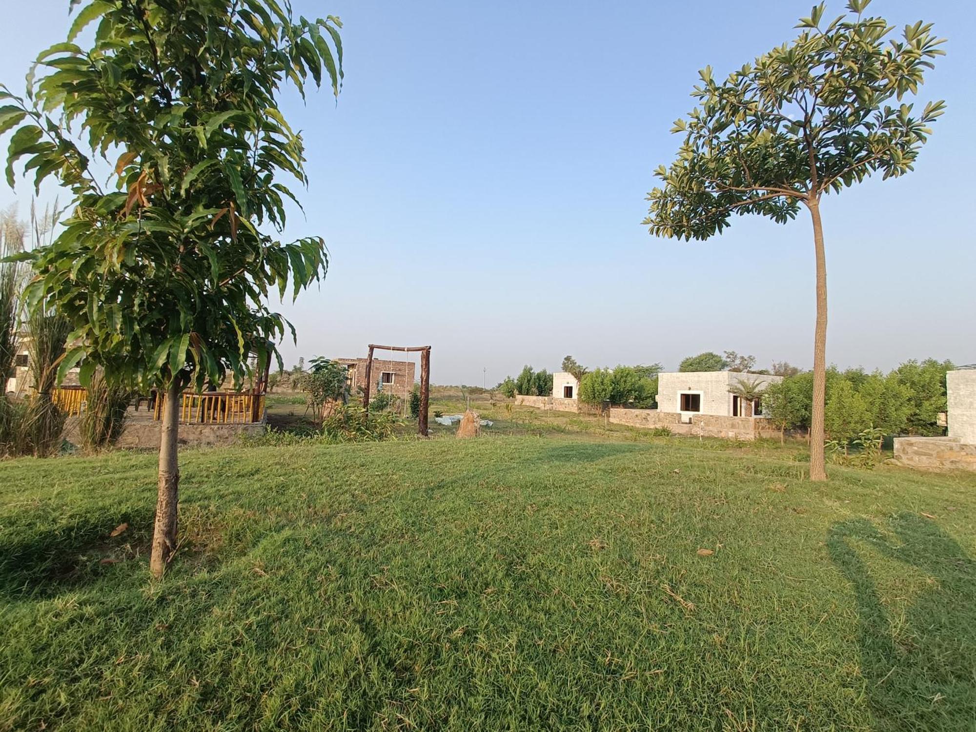 Jawai Wildlife Safari Camp Bed and Breakfast Nana Exteriör bild